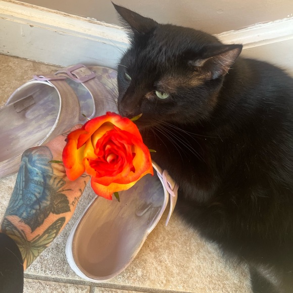 Meet your Posher, Michaela ft. Manny - Picture 2 of 11